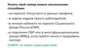 Что делать при потере СНИЛС гражданина РФ в Модис