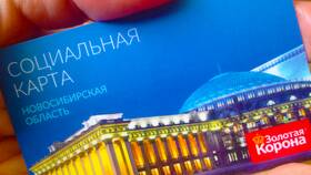 Что оплачивает социальная карта в Модис