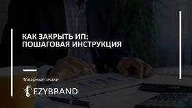ИП: с чего начать - пошаговая инструкция в Модис