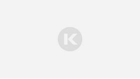 Как найти сданную налоговую декларацию в Модис