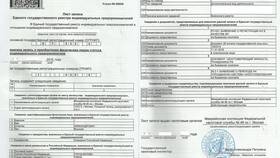 Как оформить ИП: пошаговая инструкция