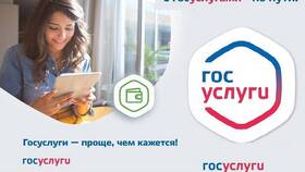Как оформить родовые выплаты через Госуслуги в Модис