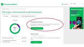 Как получить детализацию звонков на МегаФоне в Модис