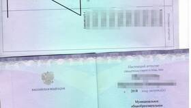 Как получить копию аттестата через Госуслуги в Модис