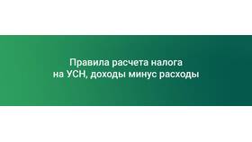 Как рассчитывается налог УСН в Модис