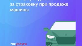 Как вернуть страховую премию в Модис