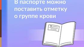 Как вписать ИНН в документы в Модис