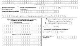 Как выглядит декларация по УСН: структура и содержание в Модис