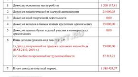 Как заполнить справку о доходах госслужащего в Модис