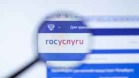 Как зайти в Госуслуги организации