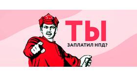Последствия неподачи налоговой декларации в Модис