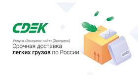СДЭК или СДЕК: как правильно писать название компании в Модис