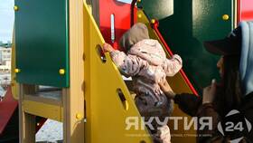 За что начисляют пенсионные баллы в Модис