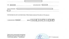 Зачем требуют СНИЛС и ИНН в Модис