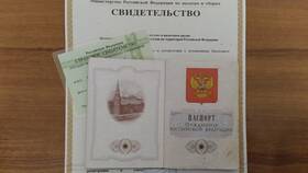 Зачем требуют СНИЛС и паспорт в Модис