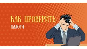Задолженность перед ФНС: что это в Модис