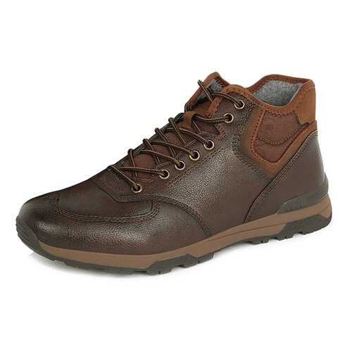 Ботинки мужские T.Taccardi 710018453 коричневые 43 RU в Модис