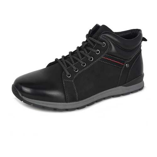 Ботинки мужские T.Taccardi GN20AW-09 черные 43 RU в Модис