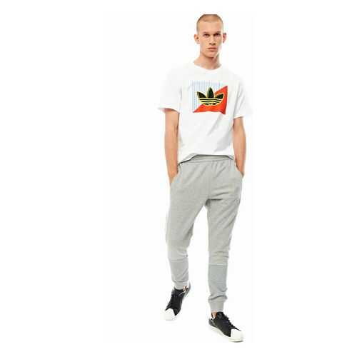 Спортивные брюки мужские adidas Originals FM3916 серые S в Модис