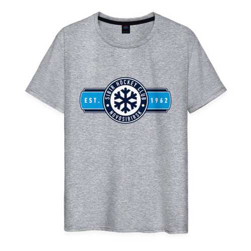 Футболка мужская ВсеМайки 1686135 серая XXXL в Модис