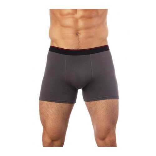 Трусы мужские UOMO FIERO 029FH серые L в Модис